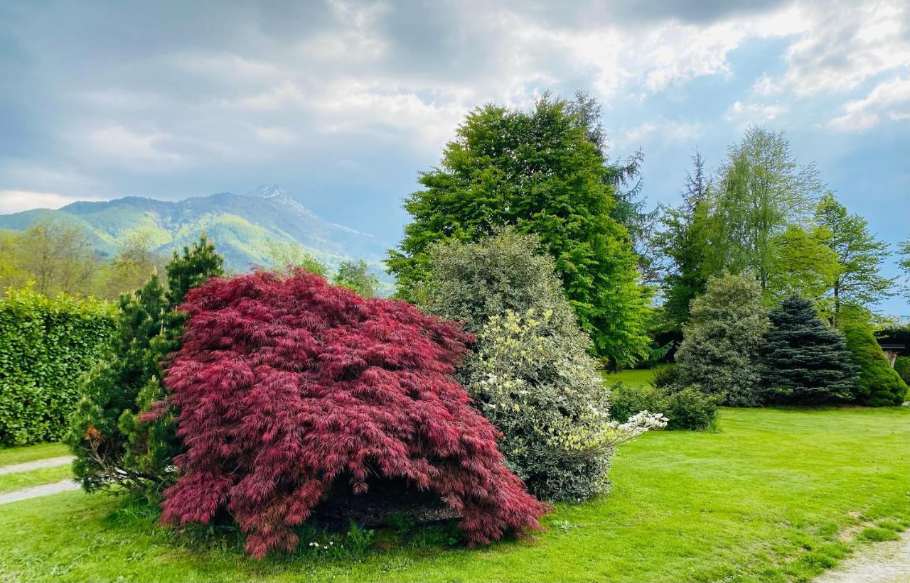 Villa Giulia - Marguareis Peveragno Екстериор снимка