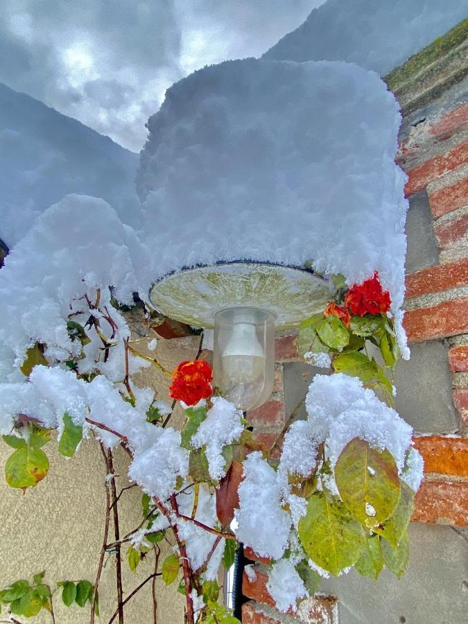 Villa Giulia - Marguareis Peveragno Екстериор снимка